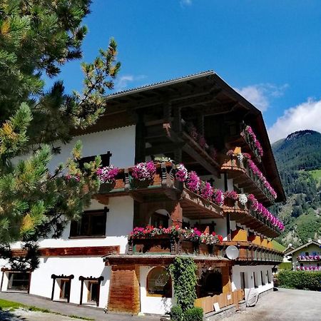 Haus Waldesruh Apartment Neustift im Stubaital Exterior photo