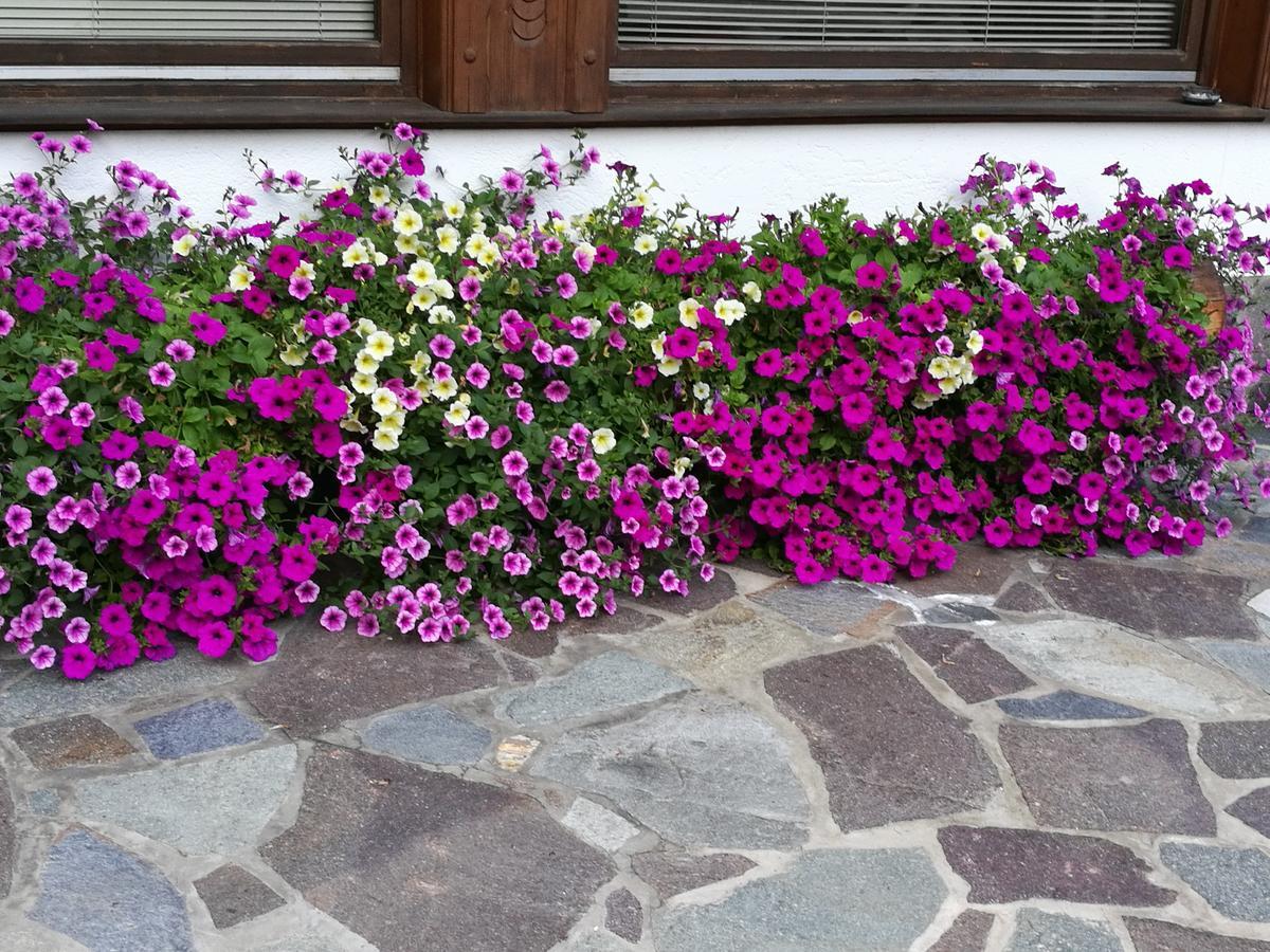 Haus Waldesruh Apartment Neustift im Stubaital Exterior photo